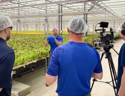 5 Benefits of Creating a Multi-Part Video Series for Business Growth