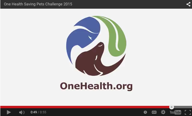 one health hero, new image media